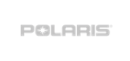 Logotipo polaris